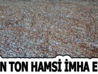 148 bin ton Hamsi imha edildi