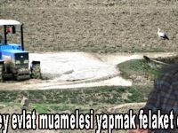 Tarıma üvey evlat muamelesi yapmak felaket olur