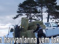 Yaban hayvanlarına yem takviyesi