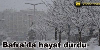 Bafra'da Beyazın sakinliği