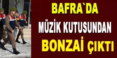 Müzik kutusundan uyuşturucu çıktı