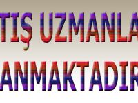 İhlas Pazarlama elaman arıyor