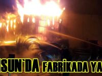 Plastik fabrikasında yangın