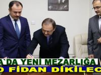 Bafra`da yeni mezarlığa 1500 fidan dikilecek