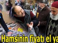 Hamsinin fiyatı el yakıyor