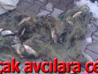 Usulsüz avlanan avcılara ceza