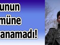 Oğlunun ölümüne dayanamadı!