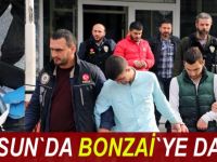 Samsun'da 2 kilo 410 gram bonzai ele geçirildi