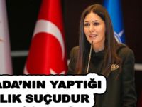 Ak Partili Karaaslan: Hollanda'nın yaptığı insanlık suçudur
