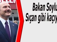 Bakan Soylu: Sıçan gibi kaçıyorlar