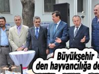 Büyük-şehirden hayvancılığa destek
