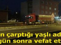 Tır'ın çarptığı yaşlı adam 30 gün sonra vefat etti