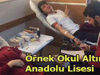 Örnek Okul Altınkaya Anadolu Lisesi