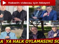 Bafra`da referandum çoşkusu