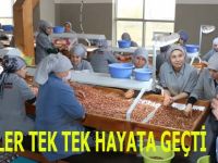 HİZMETLER TEK TEK HAYATA GEÇTİ