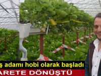 Hobi olarak başladı ticarete dönüştü
