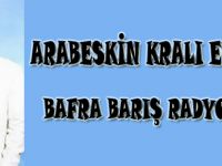 Etkin Bafra`da