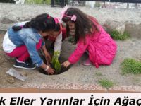 Minik Eller Yarınlar İçin Ağaç Dikti
