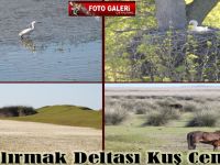 Eşsiz manzarası ile kuş cenneti