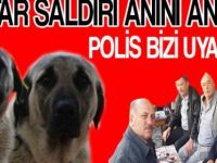 Köpek saldıran Muhtar olayı anlattı