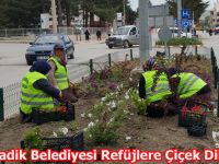 Ladik Belediyesi Refüjlere Çiçek Dikiyor