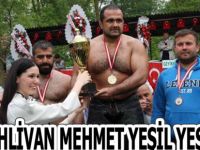 625.Geyikkoşan güreşleri düzenledi