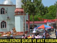 YÖRGÜÇ MAHALLESİNDE ŞÜKÜR VE AFAT KURBANI’ KESİLDİ