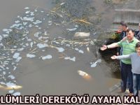 BALIK ÖLÜMLERİ DEREKÖYÜ AYAHA KALDIRDI