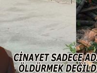 CİNAYET SADECE ADAM ÖLDÜRMEK DEĞİLDİR