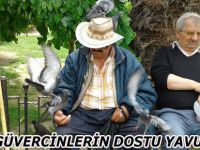 GÜVERCİNLERİN DOSTU YAVUZ DEDE