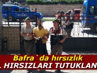 Bal hırsızları tutuklandı