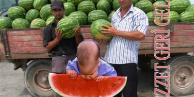Eski Bafra Karpuzu Geri Geldi