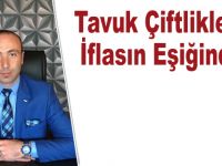 Tavuk Çiftlikleri İflasın Eşiğinde