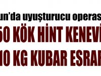 Samsunda Uyuşturucu Operasyonu