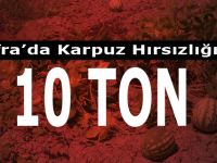 Bafra'da Karpuz Hırsızlığı