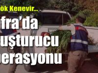 Bafra’da Uyuşturucu Operasyonu