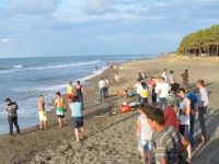 Karadeniz can almaya devam ediyor