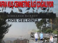 BAFRA KUŞ CENNETİ' NE YOĞUN İLGİ