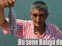 Bu sene Balığa doyacağız