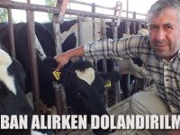 Kurban alırken dolandırılmayın