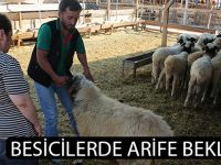 Besicilerde"arife" beklentisi