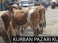Kurban pazarı kuruldu