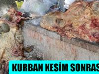 Kurban Sakatatlarını Çöpe Attılar