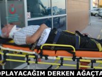 İncir toplayacağım derken; düştü