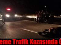 İneğin sebep olduğu kazada yaralananların isimleri belli oldu
