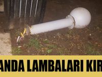 Bu nasıl insanlık?