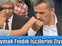 Vali Kaymak Fındık İşçilerini Ziyaret Etti
