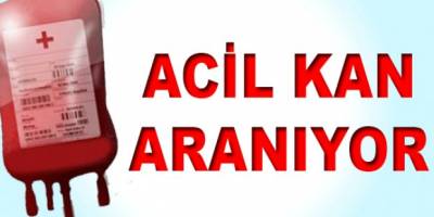 Acil Kan Aranıyor