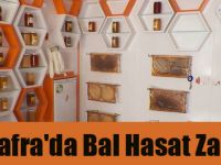 Bafra'da Bal Hasat Zamanı