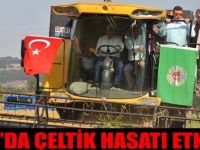 Bafra’da Çeltik Hasatı Etkinliği